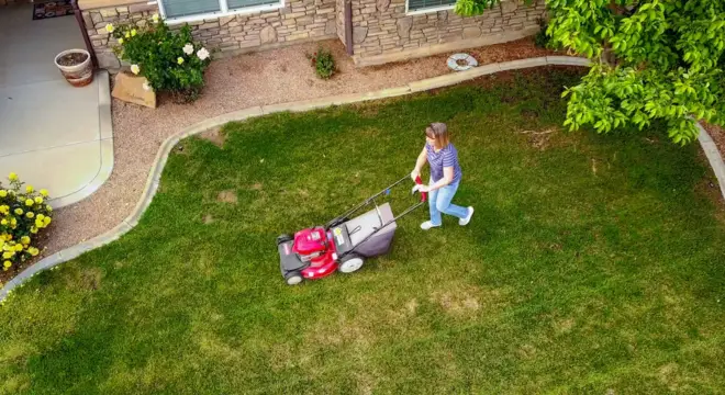 DIY Lawn Care Mistakes
