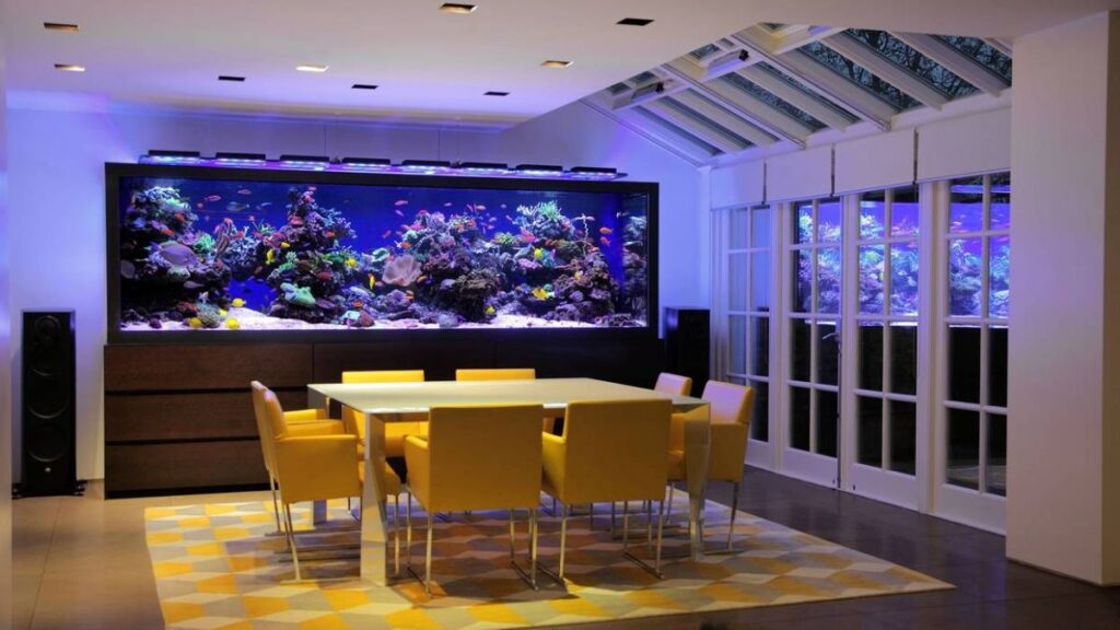 Vastu Tips for Aquariums That Can Change Your Home’s Energy