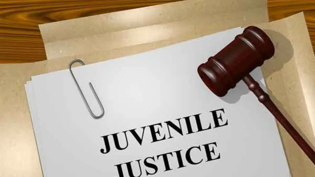 Bedford Township Michigan Police Arrest 13 Year Old After Home InvasionBedford Township Michigan Police Arrest 13 Year Old After Home Invasion