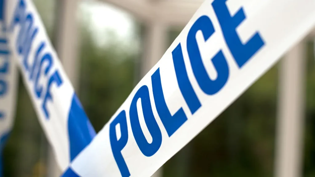 Guilderland home invasion