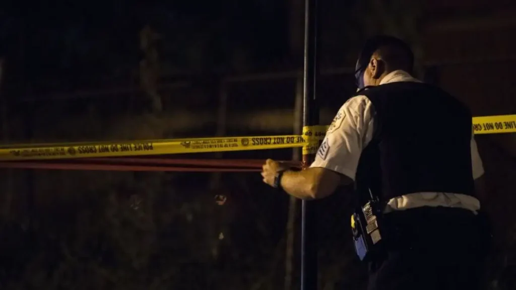 Michigan Homes Gunfire