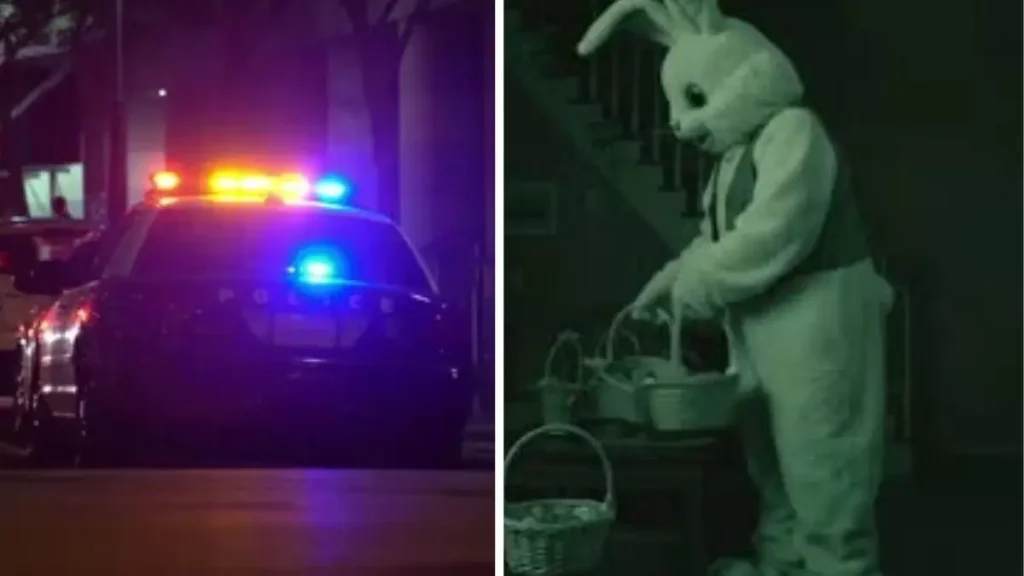 Quincy Home Burglary