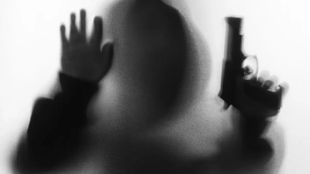 Chicago Home Gunfire