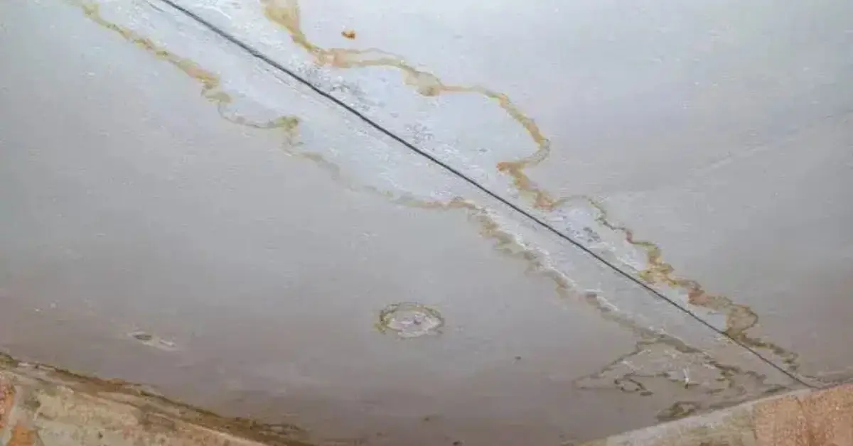 Common Mistakes That Invite Mold Into Your Home