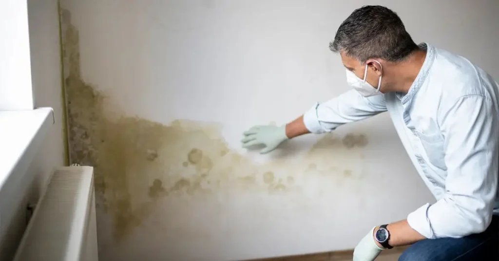 Common Mistakes That Invite Mold Into Your Home