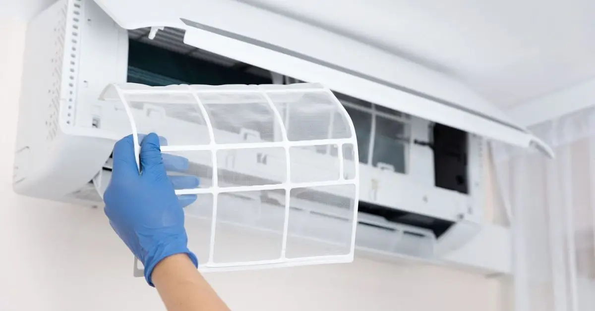 Common Mistakes That Invite Mold Into Your Home