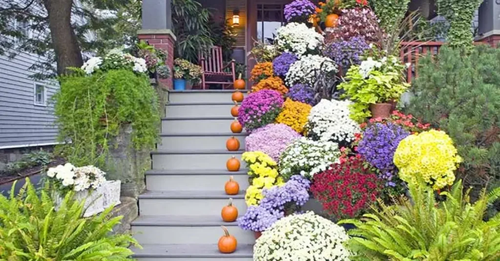 Fall Garden Ideas