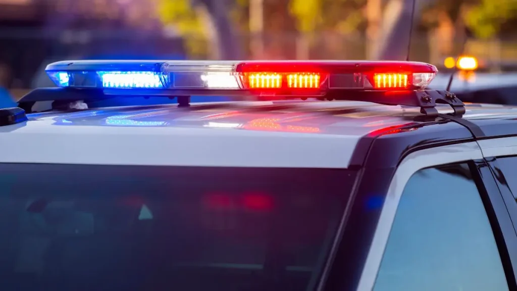 Minnesota Home Invasion