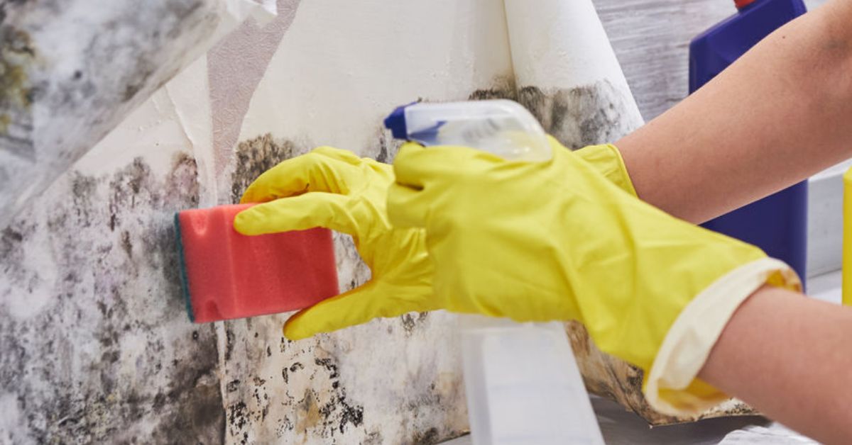 Things to Do Immediately After Basement Flooding