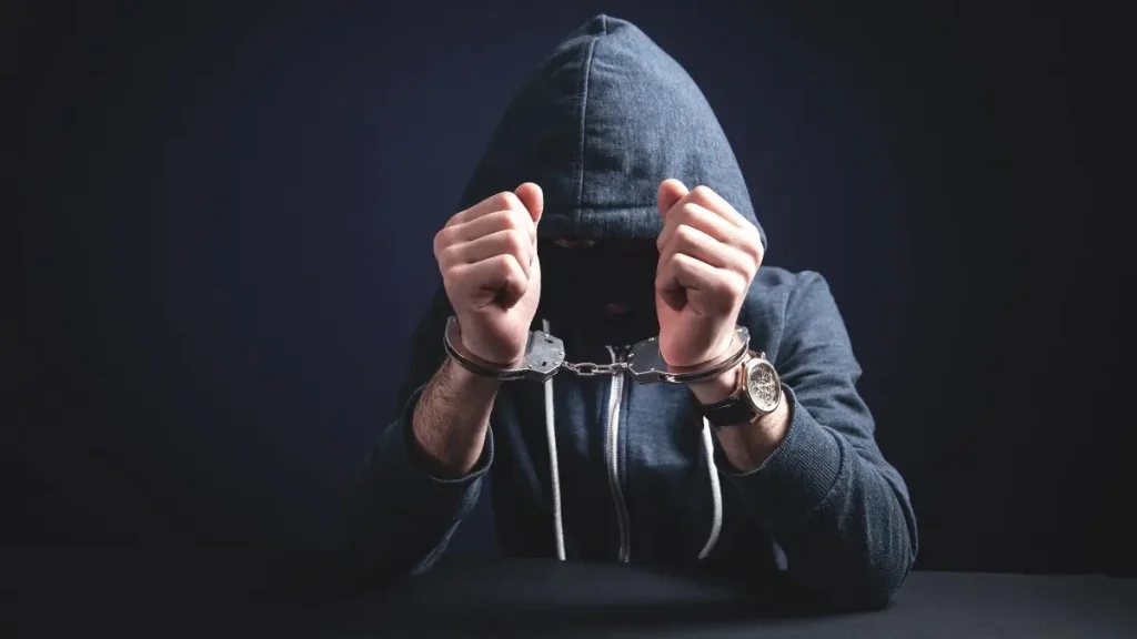 Two Arrested for Georgia Home Robbery