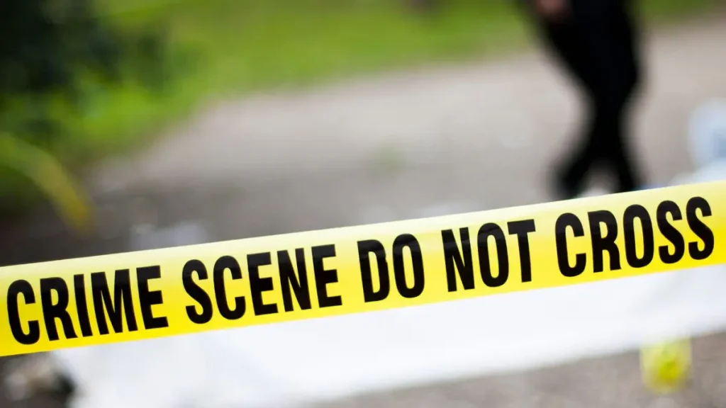 Two Arrested for Georgia Home Robbery