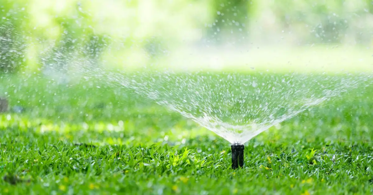 backyard energy efficiency mistakes