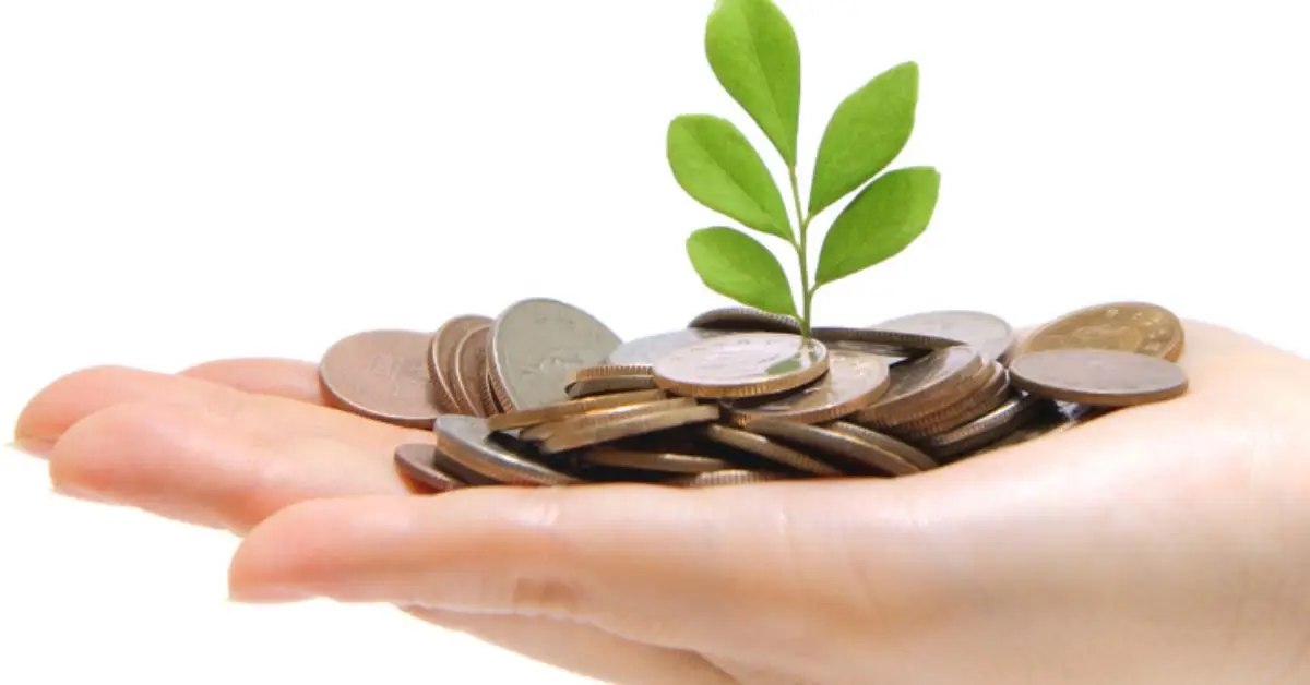 how to buy an investment property for beginners