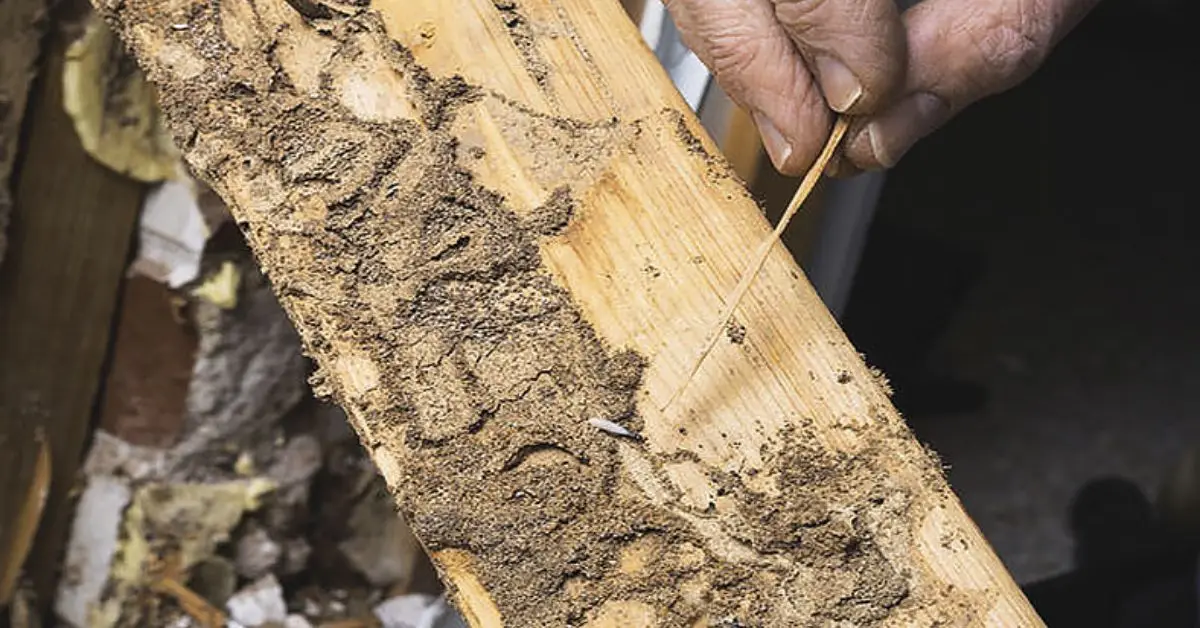 what to check when buying an older home