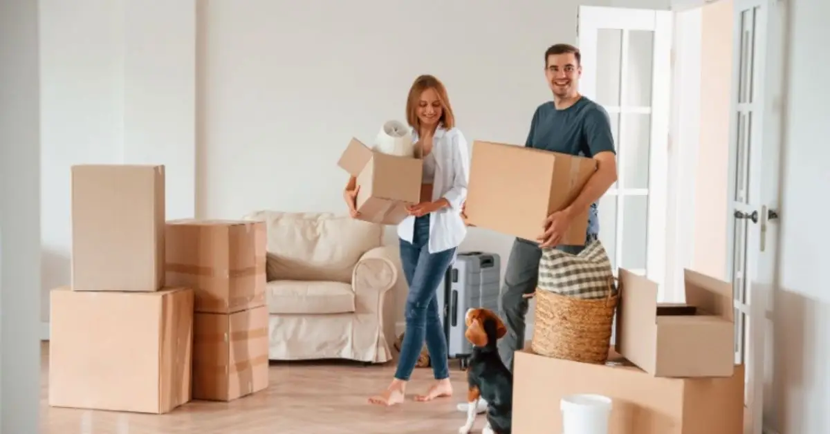 what to do after buying a house