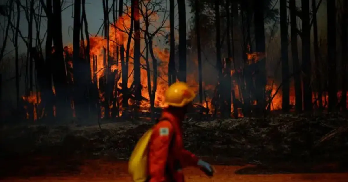 wildfire home protection