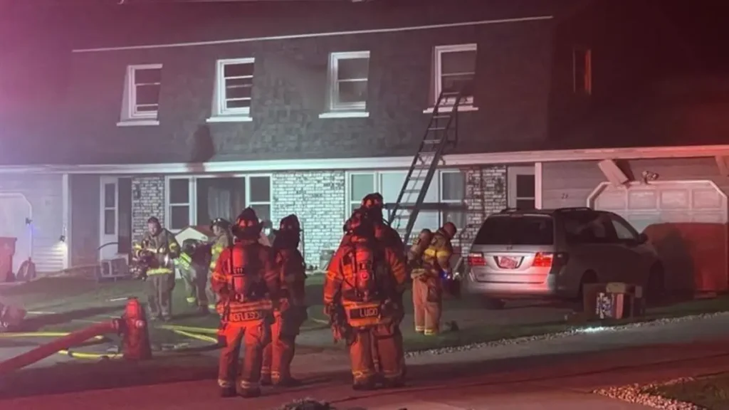 Cat dies in Madison House Fire