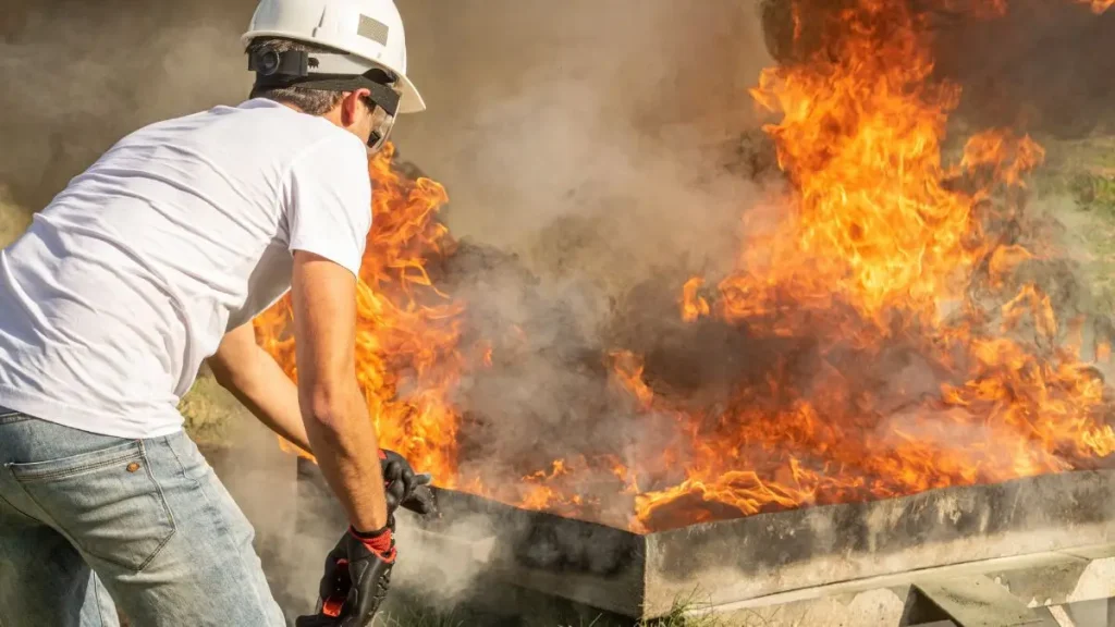 Elmira Home Fire