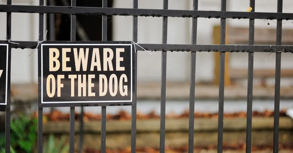 How to protect your home from burglars