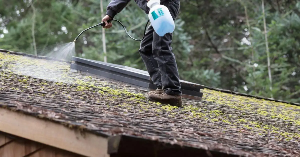 How to safely remove algae from roof