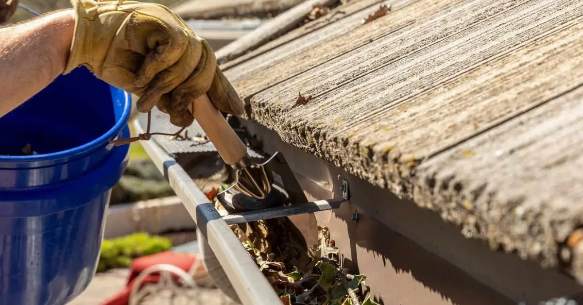How to safely remove algae from roof