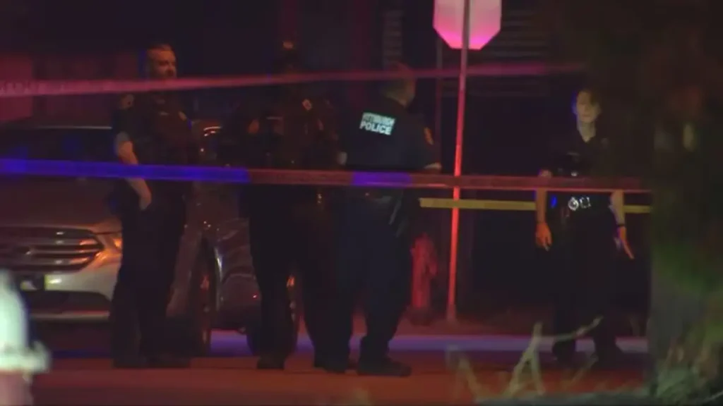 McKeesport Home Break In