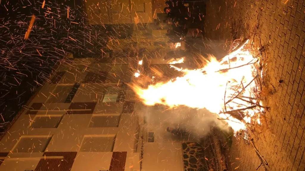 Oakland County Home Fire