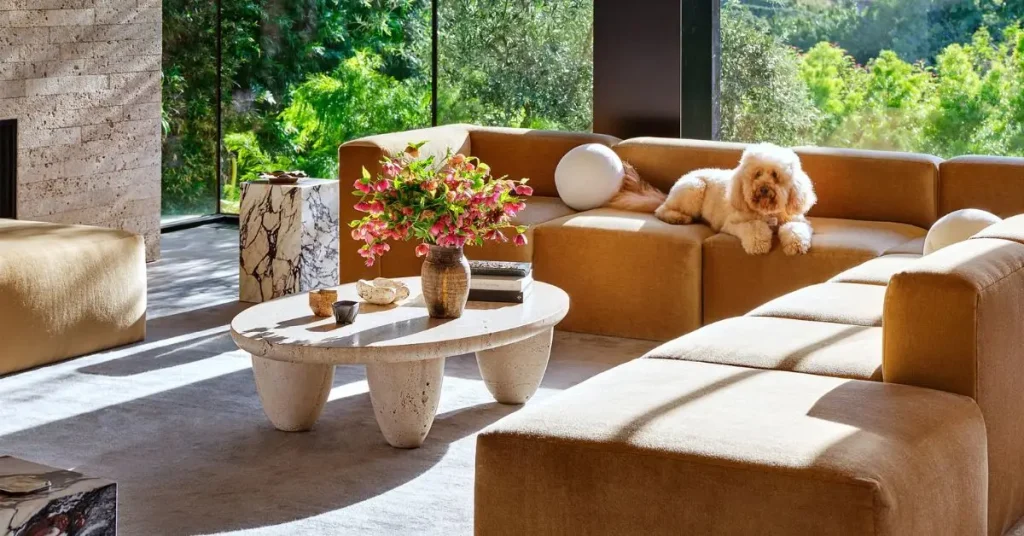Pet-friendly interior design