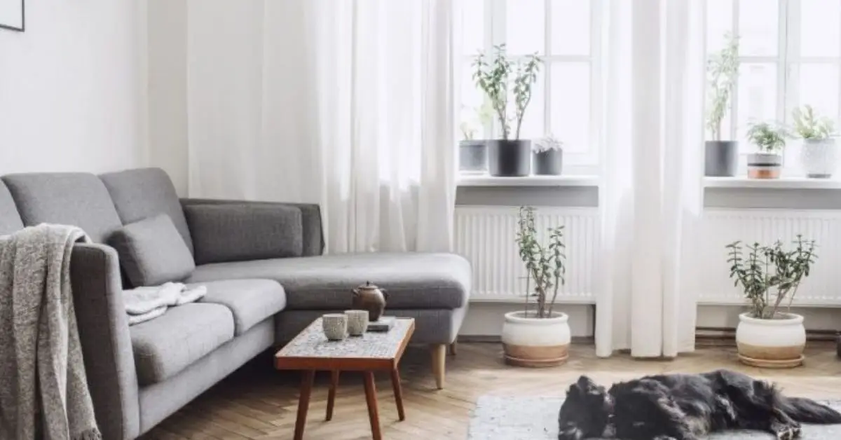 Professional organizer decluttering tips