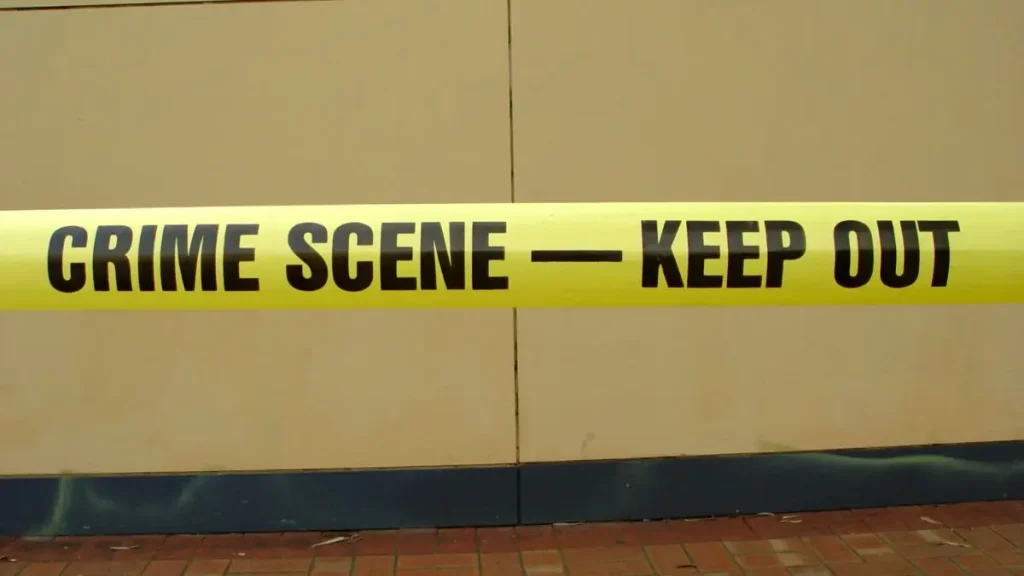 Stevensville Home Invasion