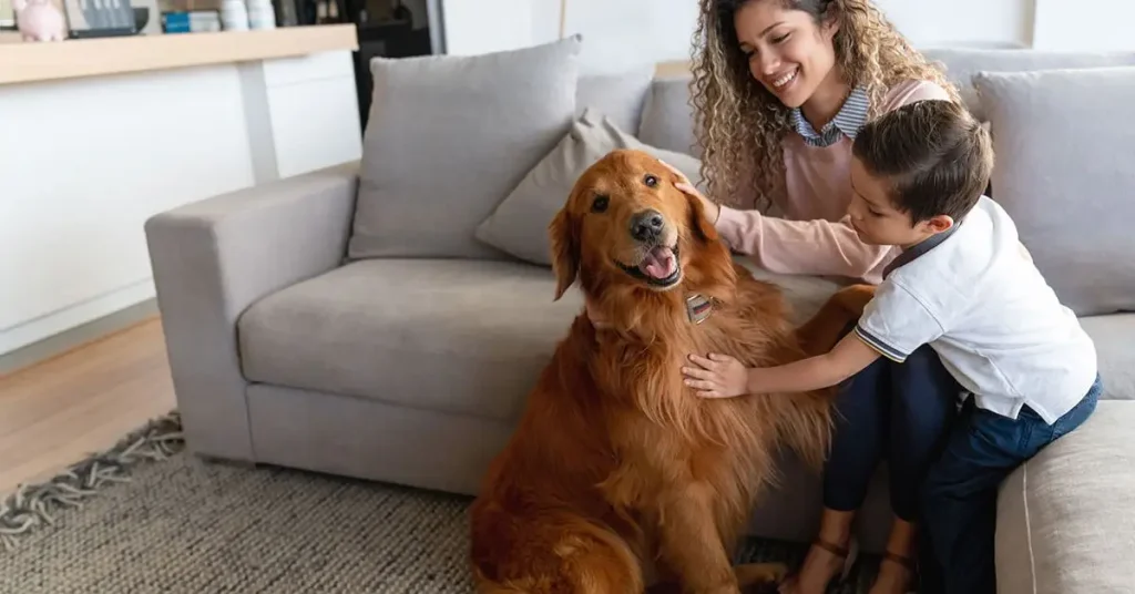 Vastu tips for a happy pet at home