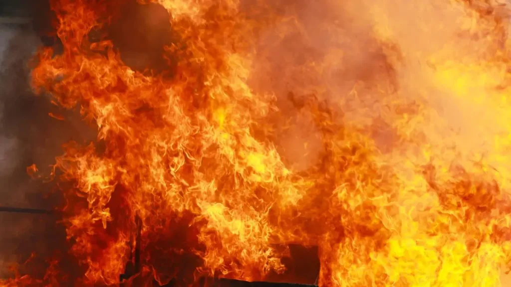 Waldorf Home Fire