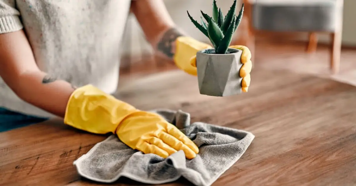 best cleaning tips for home