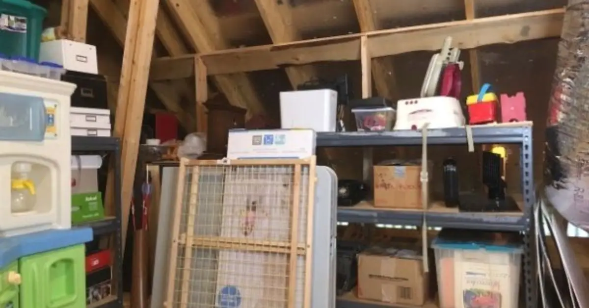 declutter attic in summer