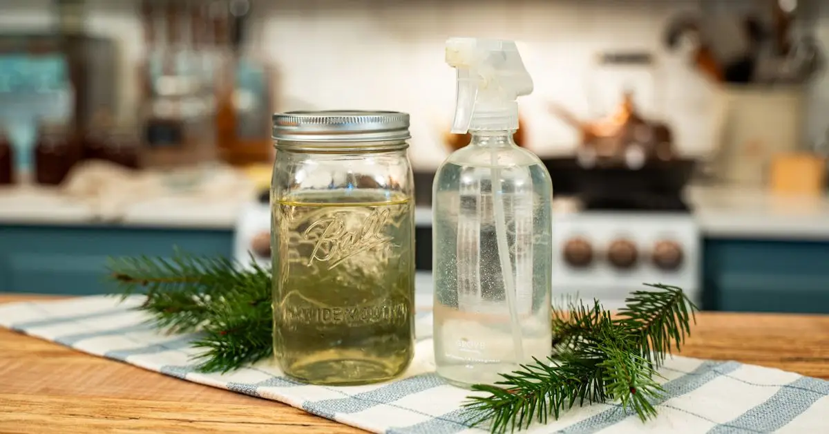 grandma home cleaning tips