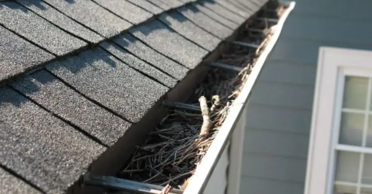 home maintenance mistakes
