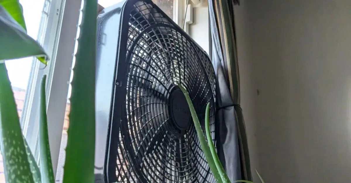 how to bug-proof windows