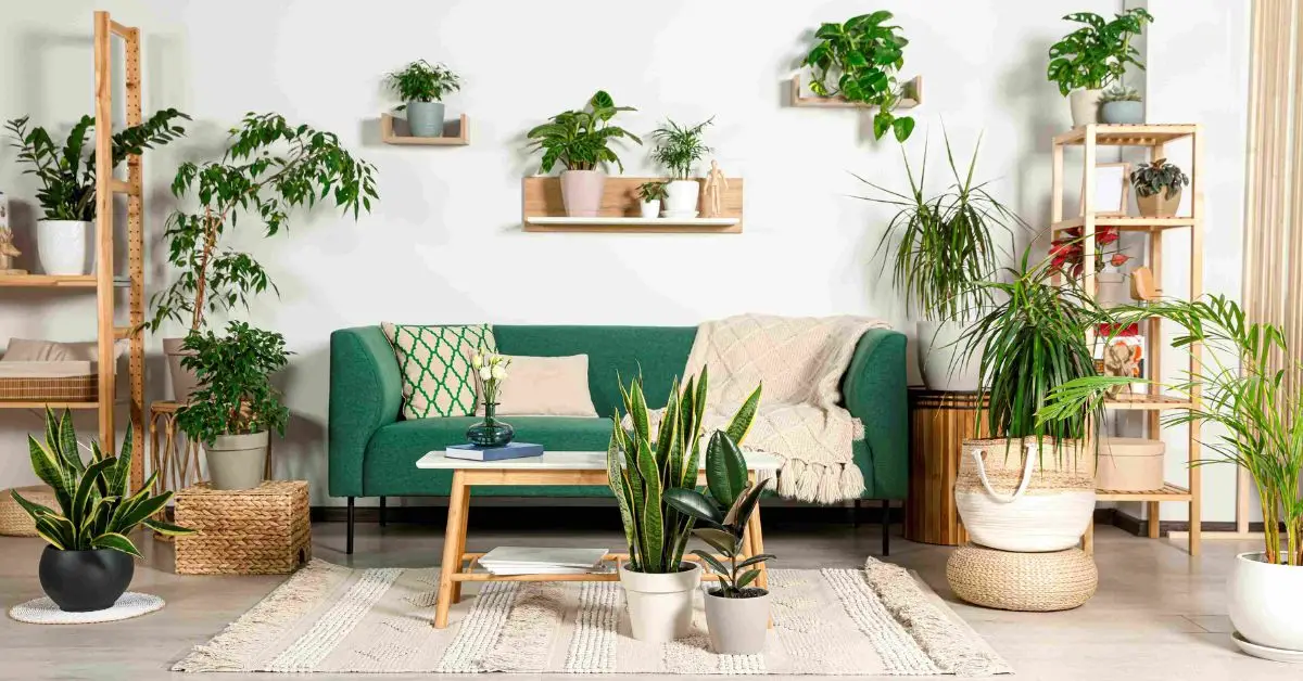 how to decorate a living room step by step