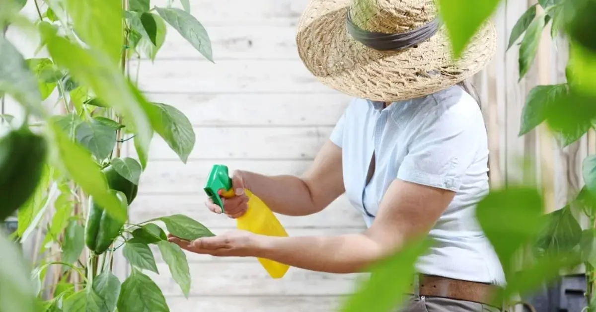 how to keep bugs out of the house