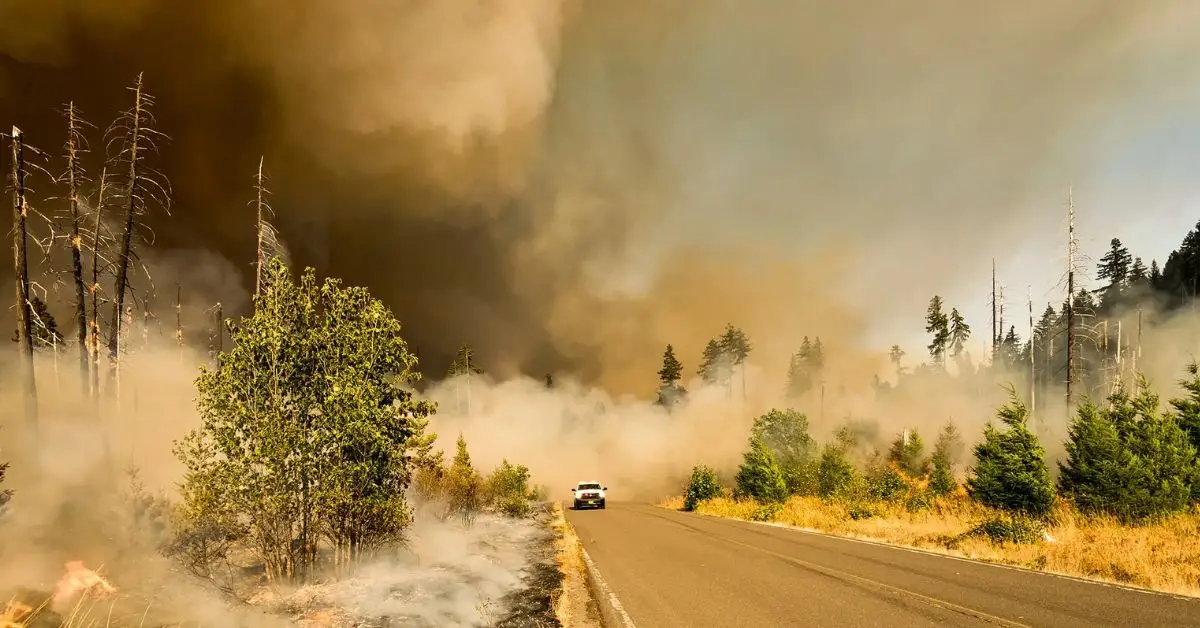how to protect home from wildfire smoke