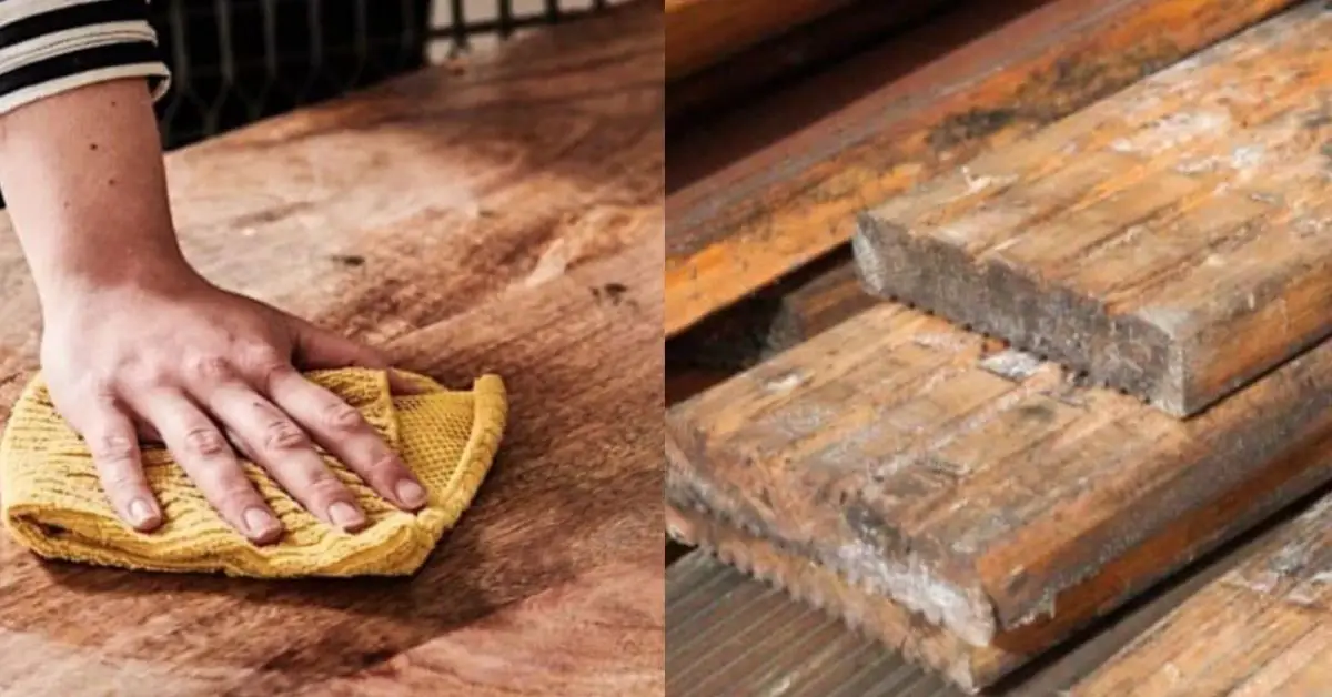 how to remove mold from wood