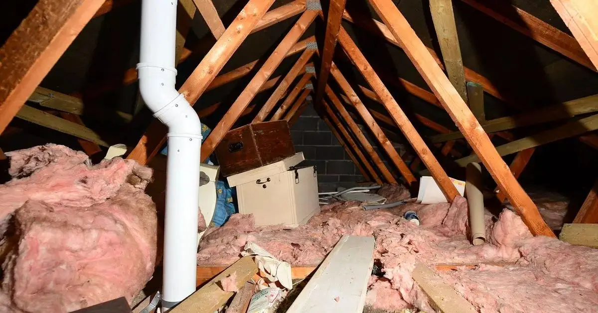 signs you have too much stuff in your attic