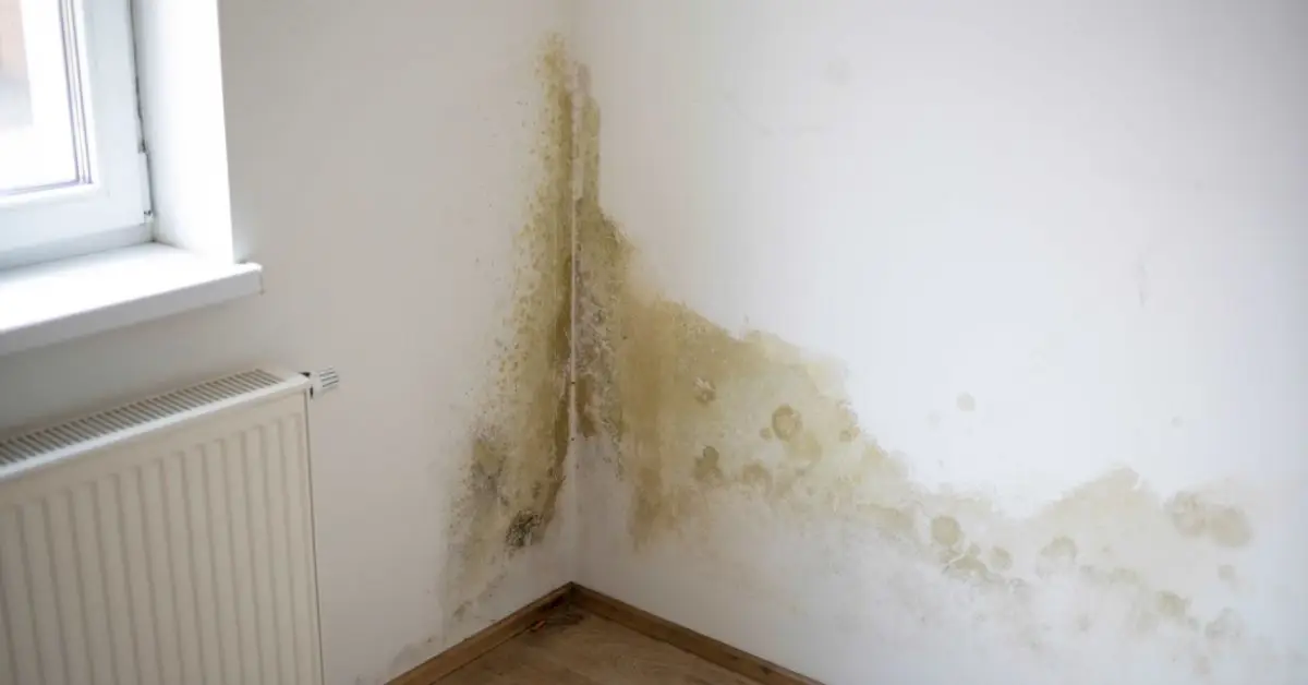 things home insurance does not cover