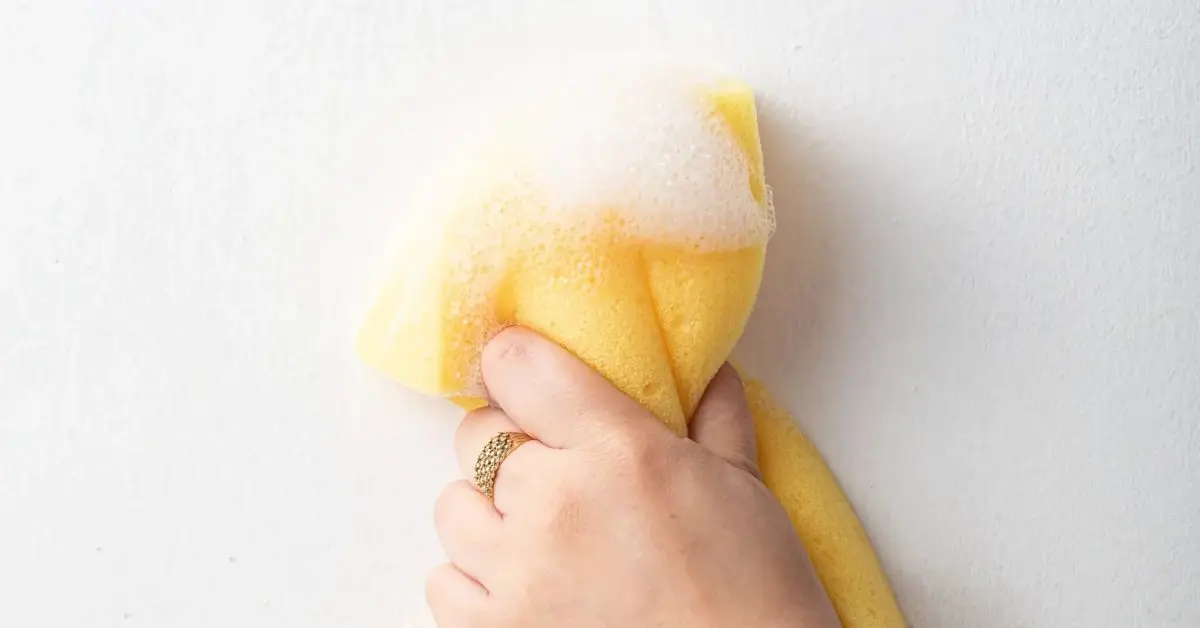 wallpaper removal methods