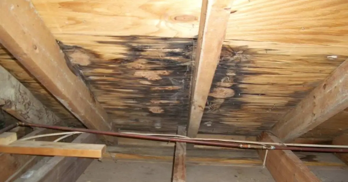 signs attic needs restoration