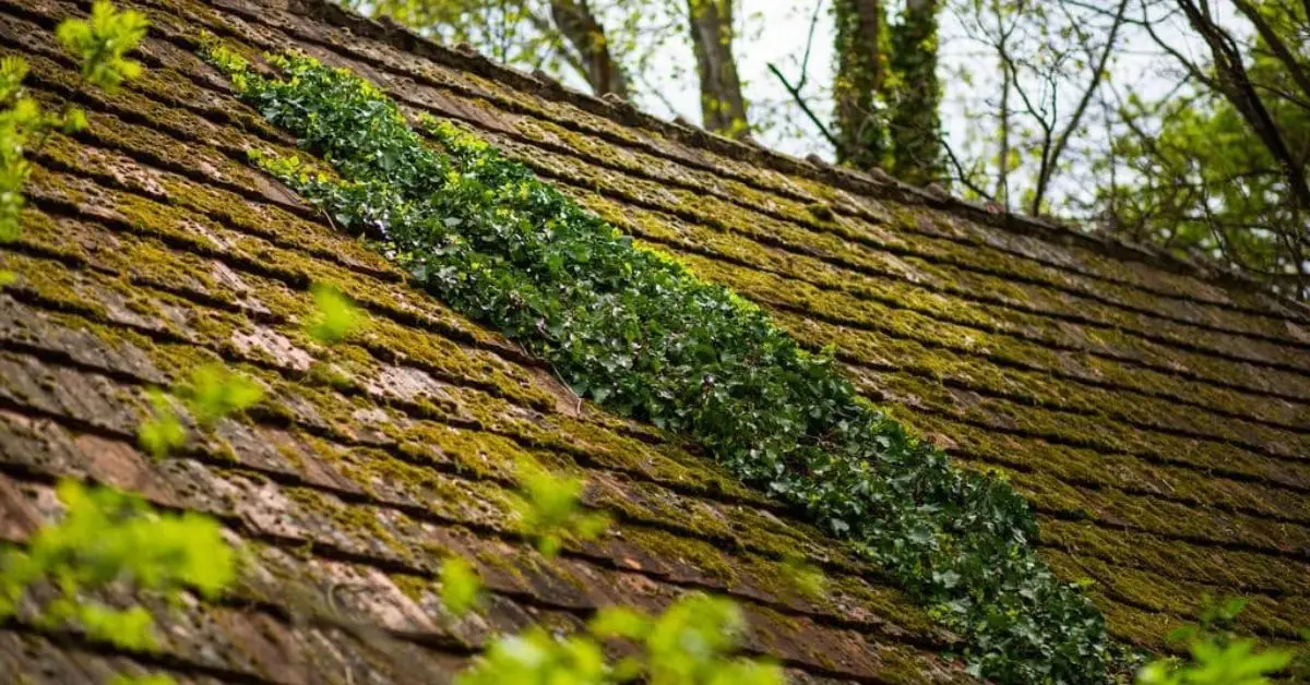 when to clean house exterior