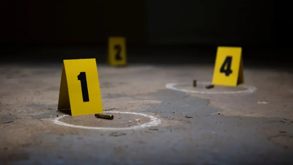 Baltimore County Home Murder