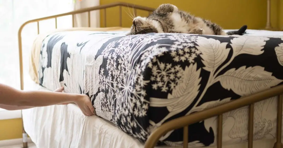 Bed-Making Mistakes