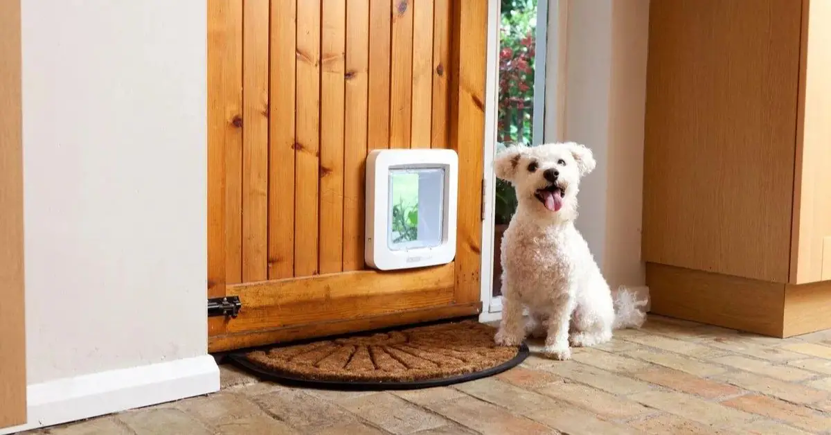 Dog door burglar prevention
