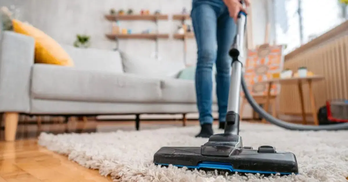 Get rid of dust in home